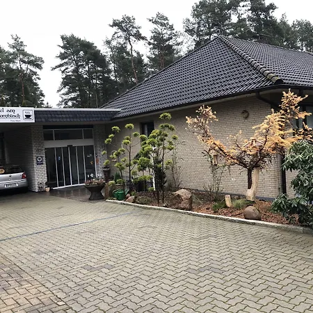 Am Weißdornbusch