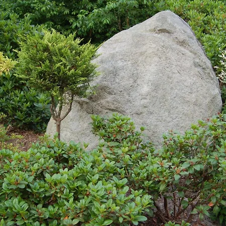 ホテル Am Weissdornbusch 3*