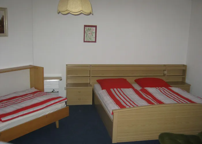 酒店 外丝东布希酒店 3*